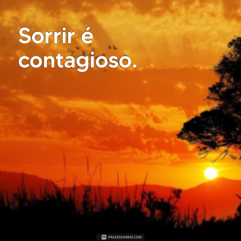 frases curta sorriso Sorrir é contagioso.