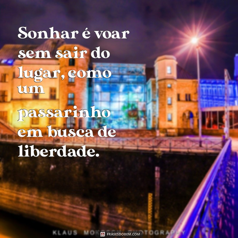 sonhar passarinho Sonhar é voar sem sair do lugar, como um passarinho em busca de liberdade.