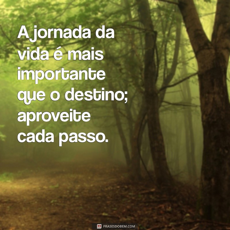 Viver a Vida: Inspirações e Mensagens para Aproveitar Cada Momento 