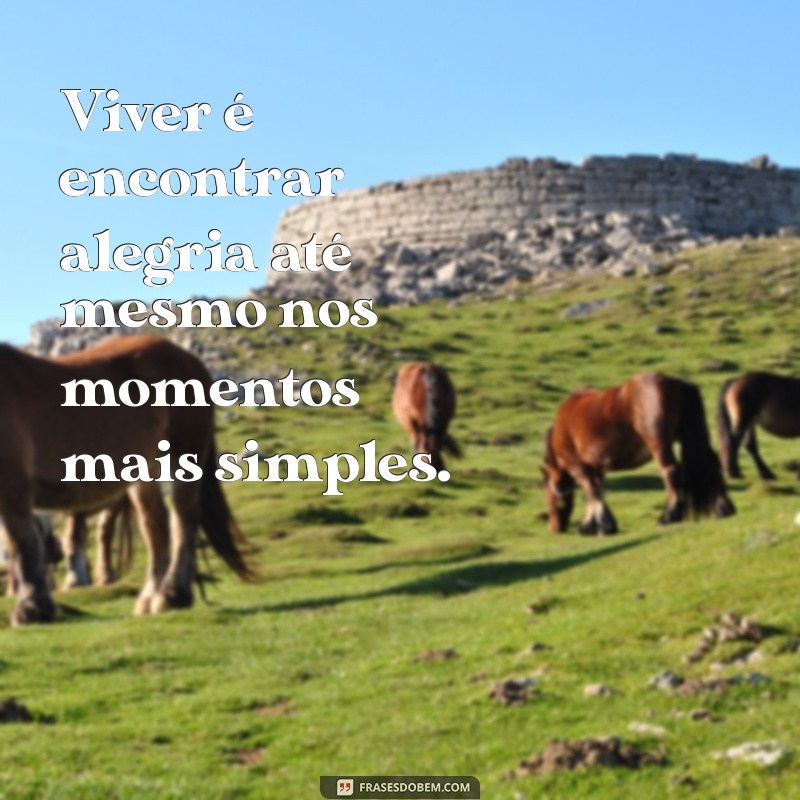 Viver a Vida: Inspirações e Mensagens para Aproveitar Cada Momento 