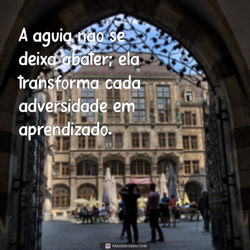 Frases Inspiradoras de Águia para Impulsionar sua Motivação 