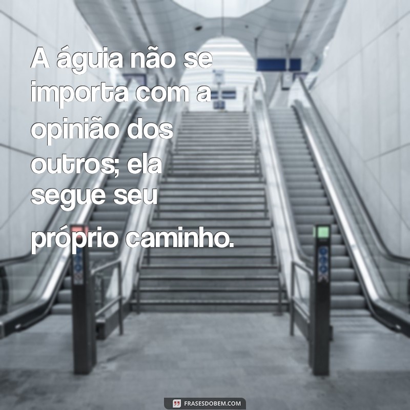 Frases Inspiradoras de Águia para Impulsionar sua Motivação 