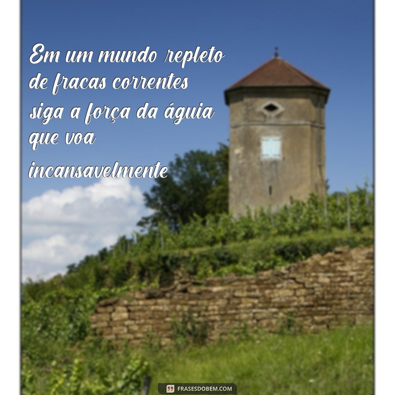 Frases Inspiradoras de Águia para Impulsionar sua Motivação 