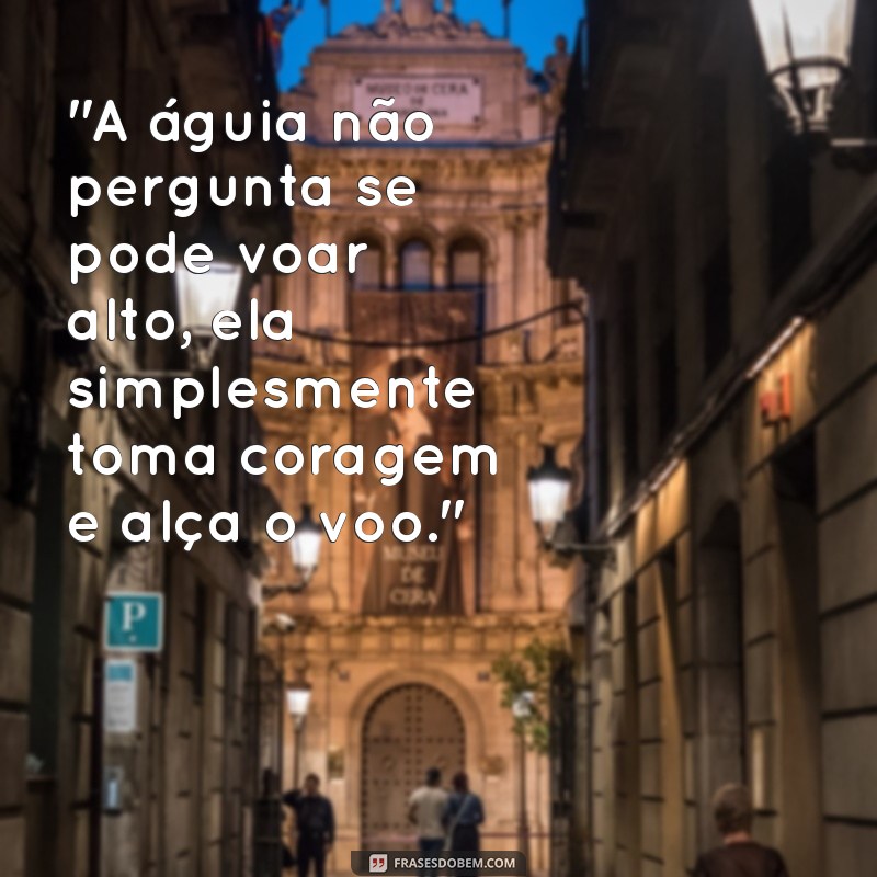 frases de águia motivação 