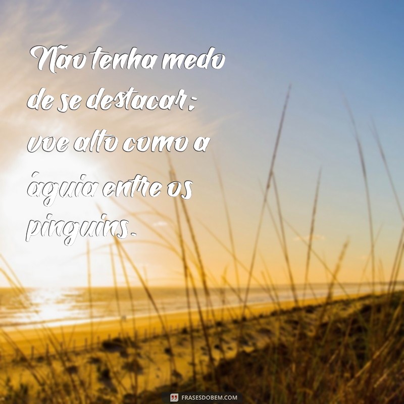 Frases Inspiradoras de Águia para Impulsionar sua Motivação 