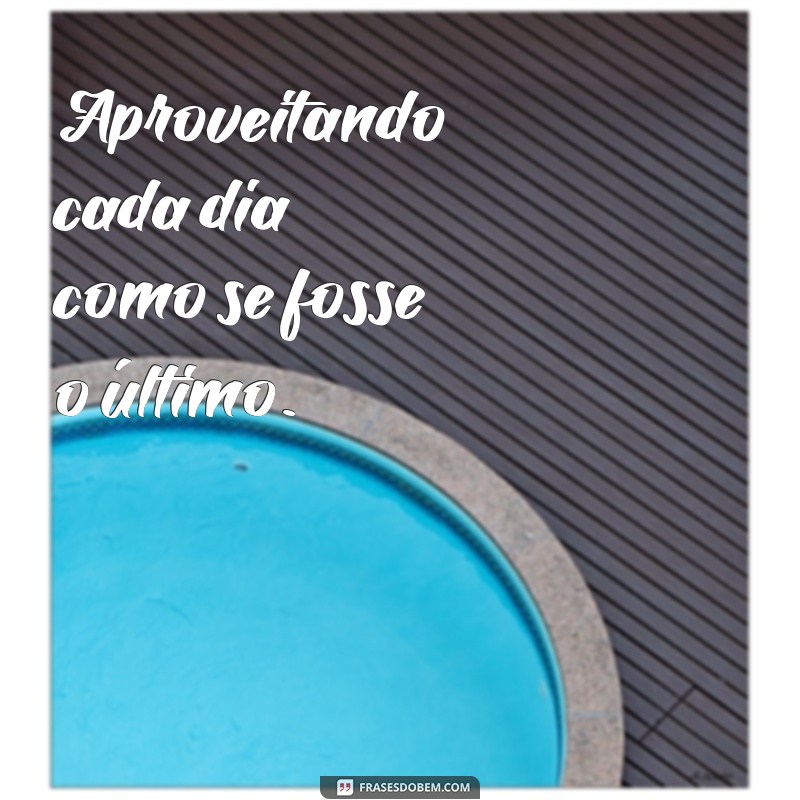 Descubra as melhores frases para arrasar na biografia do seu Instagram 