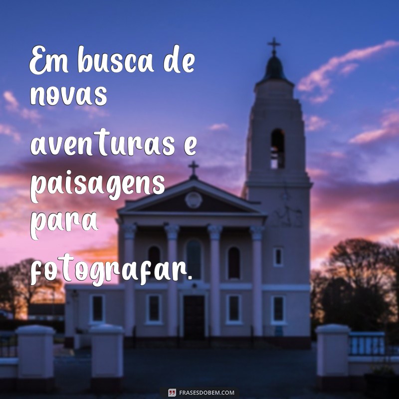 Descubra as melhores frases para arrasar na biografia do seu Instagram 