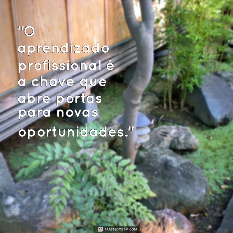 frases sobre aprendizado profissional 