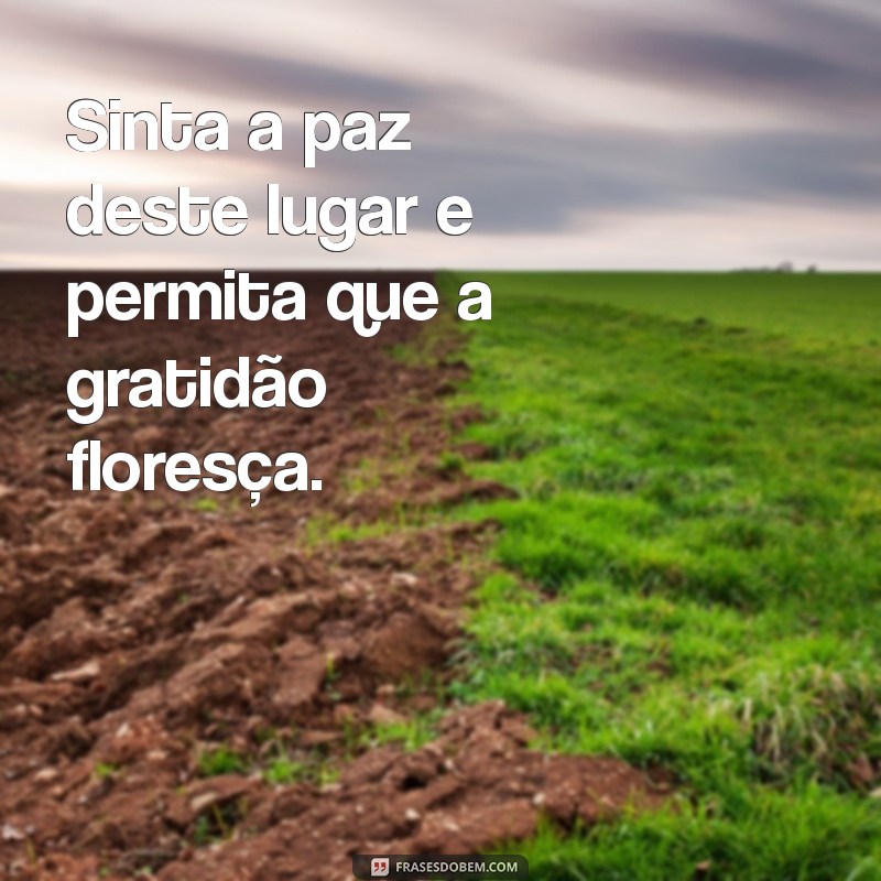 Frases Inspiradoras para Encontrar a Paz Interior em Lugares Especiais 