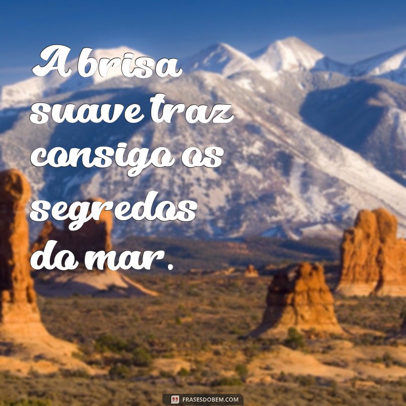 frases sobre brisa A brisa suave traz consigo os segredos do mar.