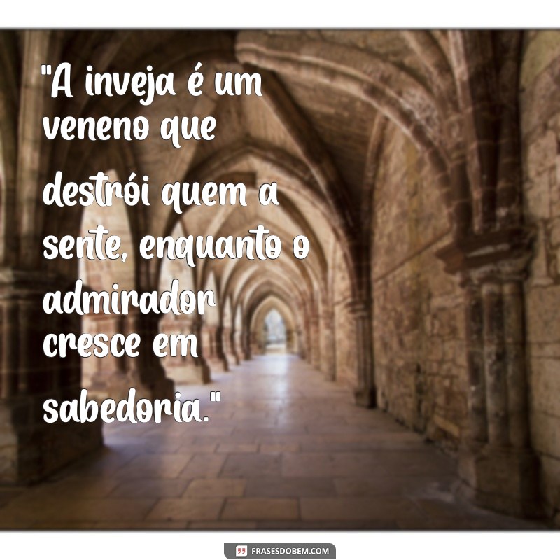 frases para invejosa 