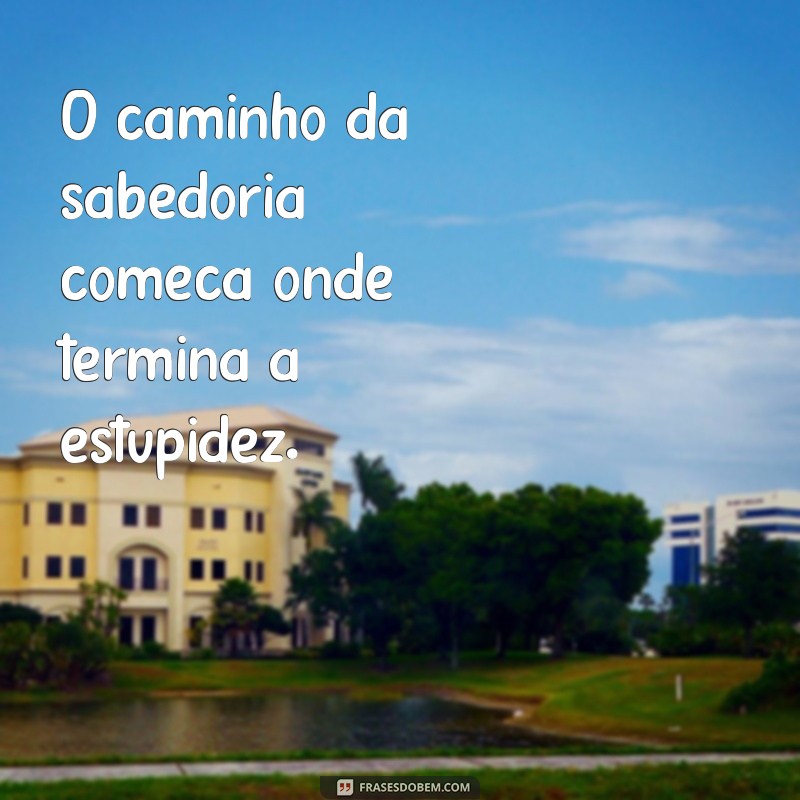 Entendendo a Estupidez: Causas, Consequências e Como Superar 