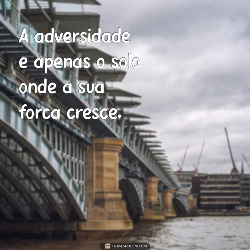 Frases Motivadoras para Inspirar seu Dia: Encontre a Força que Você Precisa 