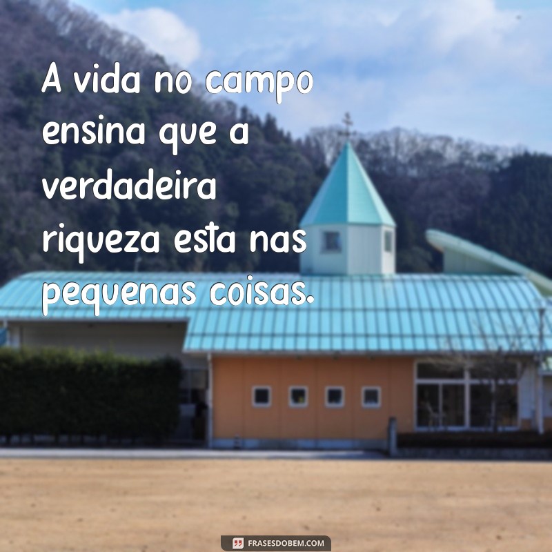 Frases Inspiradoras para Fazendeiros: Sabedoria do Campo 