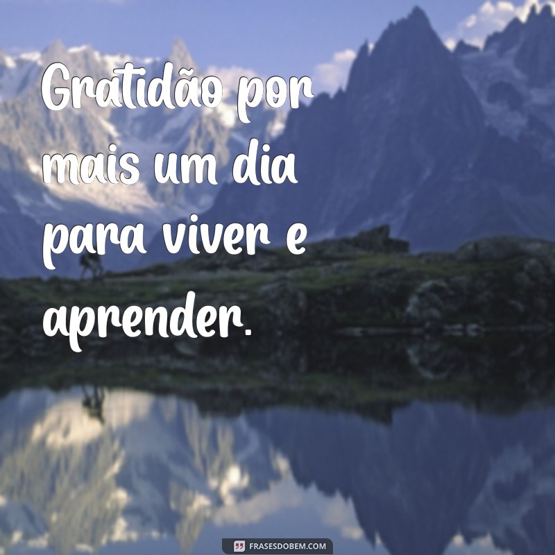 agradecer por mais um dia Gratidão por mais um dia para viver e aprender.