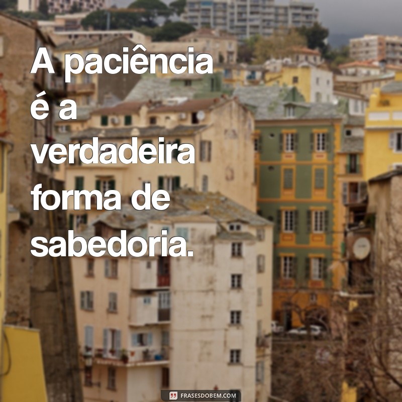 presente de paciente frases A paciência é a verdadeira forma de sabedoria.