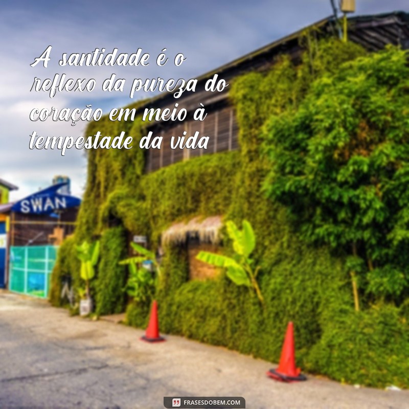 frases sobre santidade A santidade é o reflexo da pureza do coração em meio à tempestade da vida.