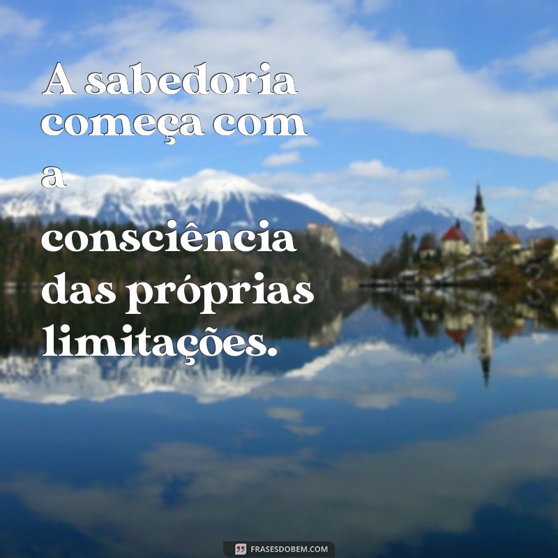 o que sócrates quis dizer com a frases só sei que nada sei A sabedoria começa com a consciência das próprias limitações.