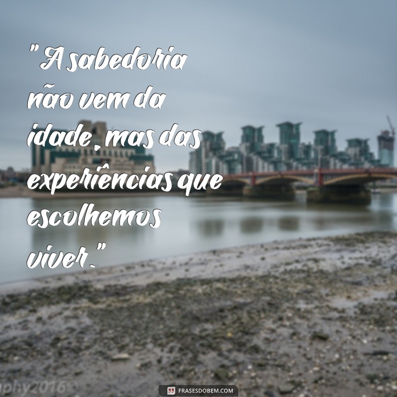 velho sábio frases de reflexão 