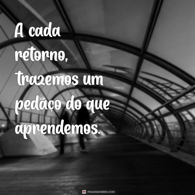 Como Garantir um Bom Retorno: Dicas e Estratégias para Sucesso 