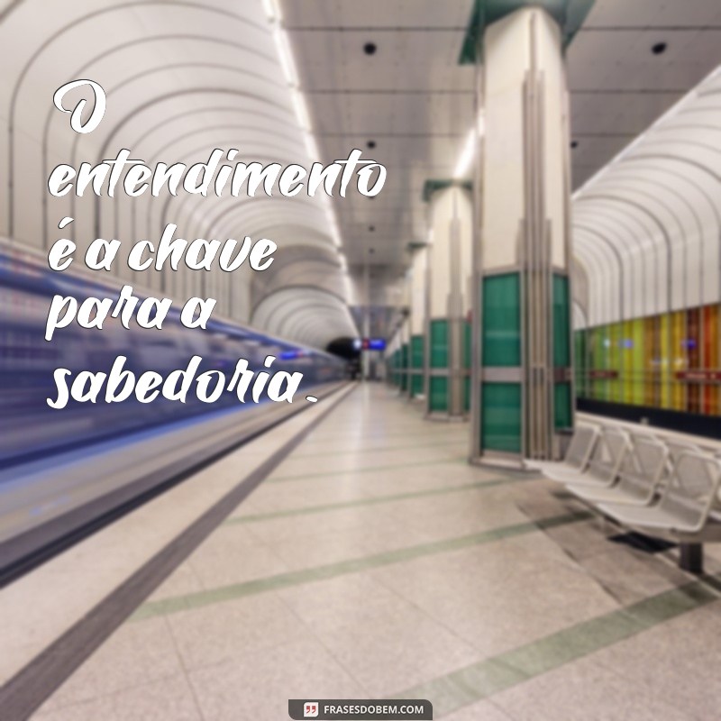 frases de entendimento O entendimento é a chave para a sabedoria.