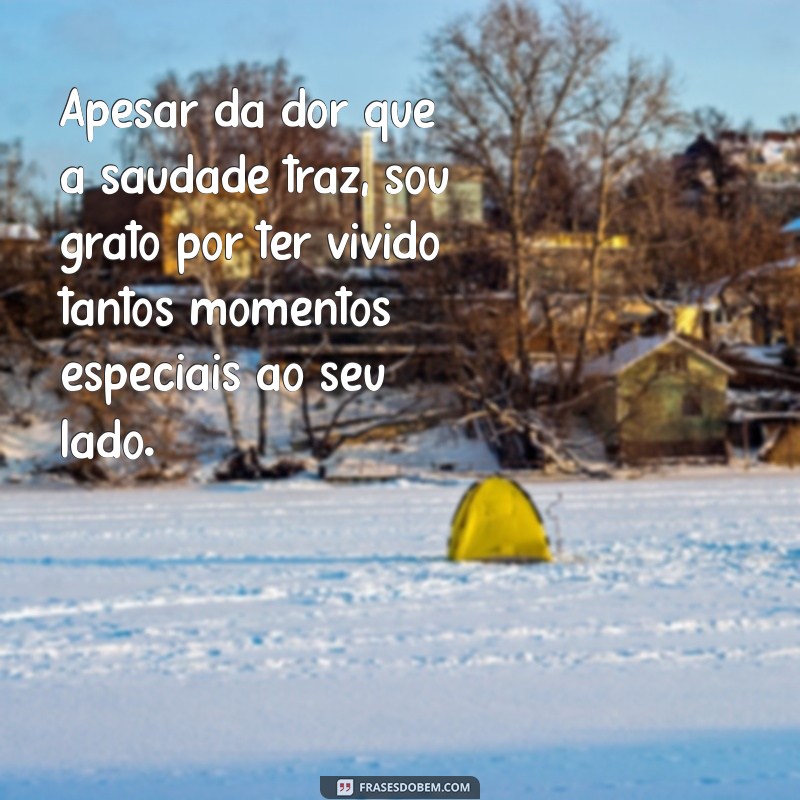 Sentimentos de Saudade: Mensagens Emocionantes para Lembrar a Mãe 