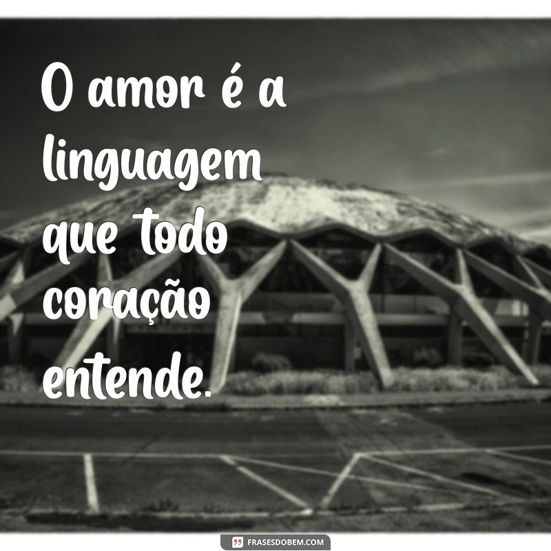 frases curtas sobre amor O amor é a linguagem que todo coração entende.