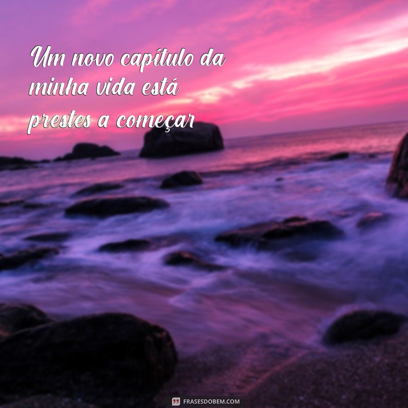 Frases Inspiradoras para Fotos de Gestantes Sozinhas: Capture a Beleza da Maternidade 