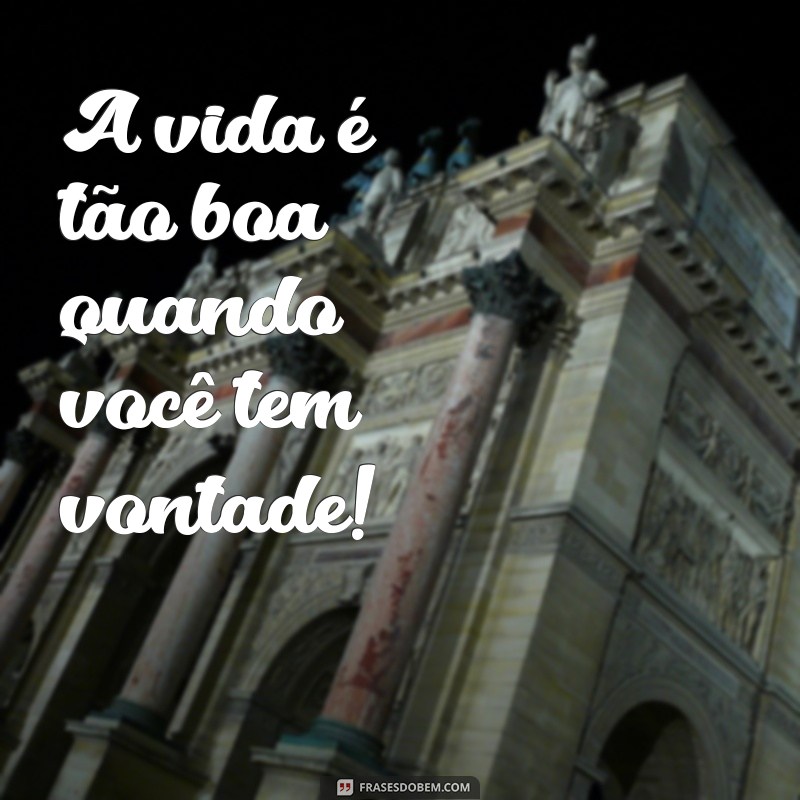 frases ai que vontade A vida é tão boa quando você tem vontade!