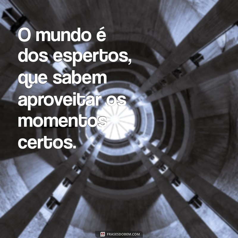 O Mundo é dos Espertos: Como a Inteligência e a Astúcia Transformam Oportunidades em Sucesso 