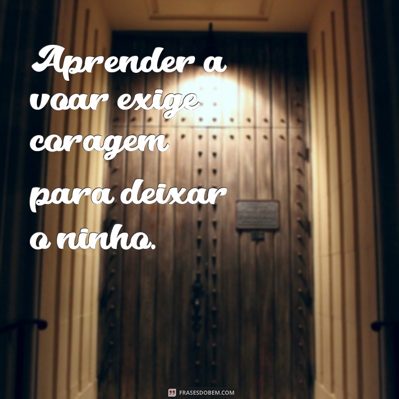 Frases Inspiradoras para Sair da Zona de Conforto e Transformar sua Vida 