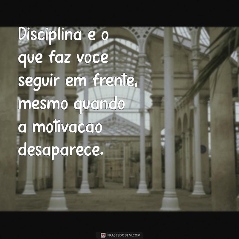 Frases Inspiradoras sobre Disciplina e Treino para Motivar sua Jornada Fitness 