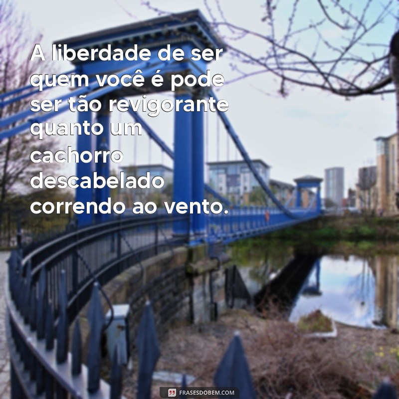 Descubra Tudo Sobre o Cachorro Descabelado: Cuidados, Curiosidades e Dicas de Estilo 