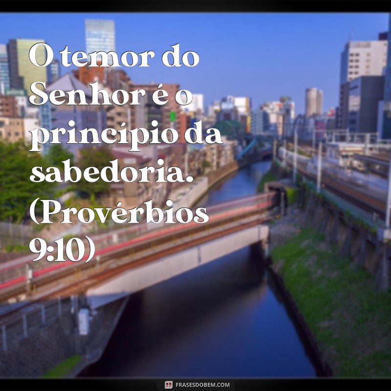 temor significado na bíblia O temor do Senhor é o princípio da sabedoria. (Provérbios 9:10)