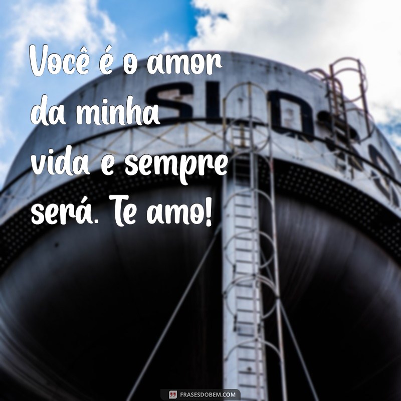 Mensagens Românticas: Declare Seu Amor com Te Amo Meu Amor 