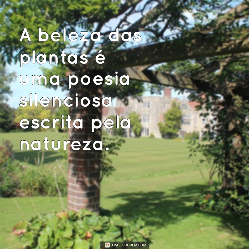 Mensagens Inspiradoras sobre Plantas: Cultive Amor e Natureza em Suas Palavras 