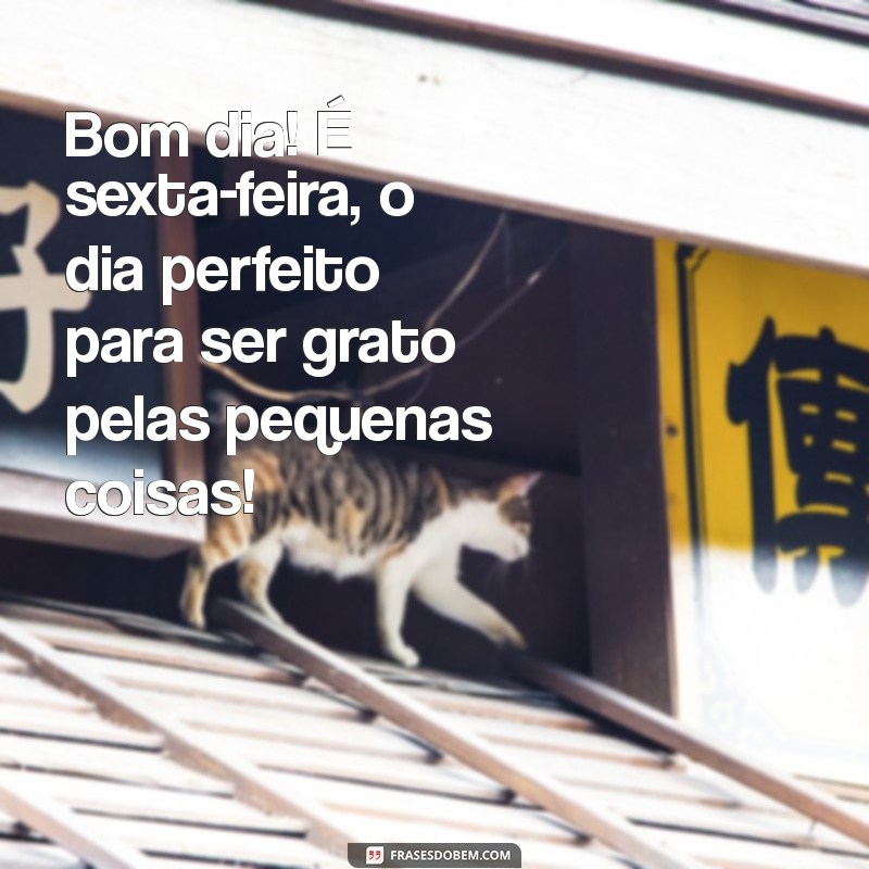 Bom Dia! Mensagens Inspiradoras para Celebrar a Sexta-Feira 