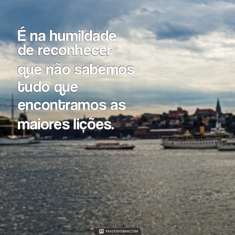 Frases Inspiradoras sobre Viver e Aprender: Reflexões para o Dia a Dia 