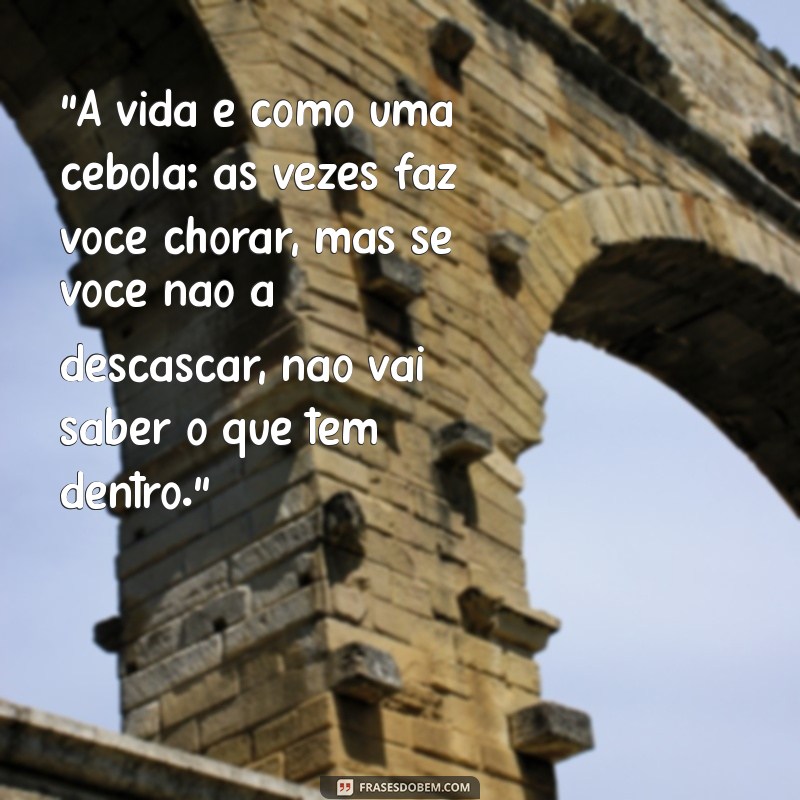 frases engraçado 