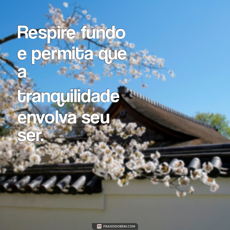 Frases Inspiradoras para Cultivar uma Consciência Tranquila 