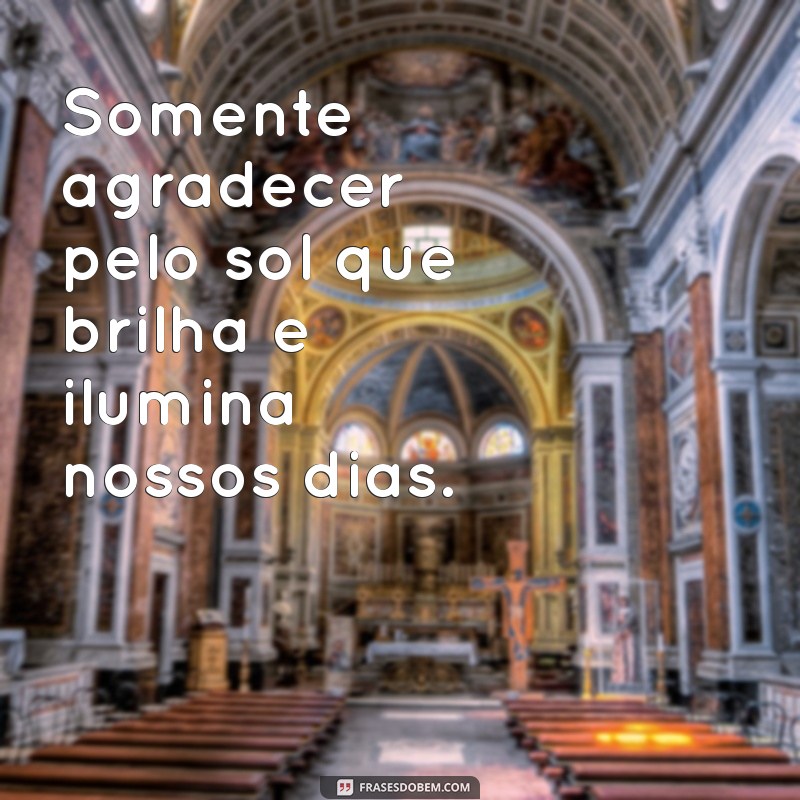 somente agradecer Somente agradecer pelo sol que brilha e ilumina nossos dias.