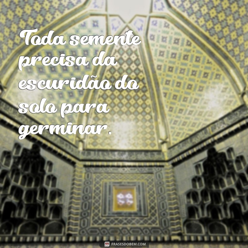 Frases Inspiradoras sobre Ciclos da Vida: Reflexões e Aprendizados 