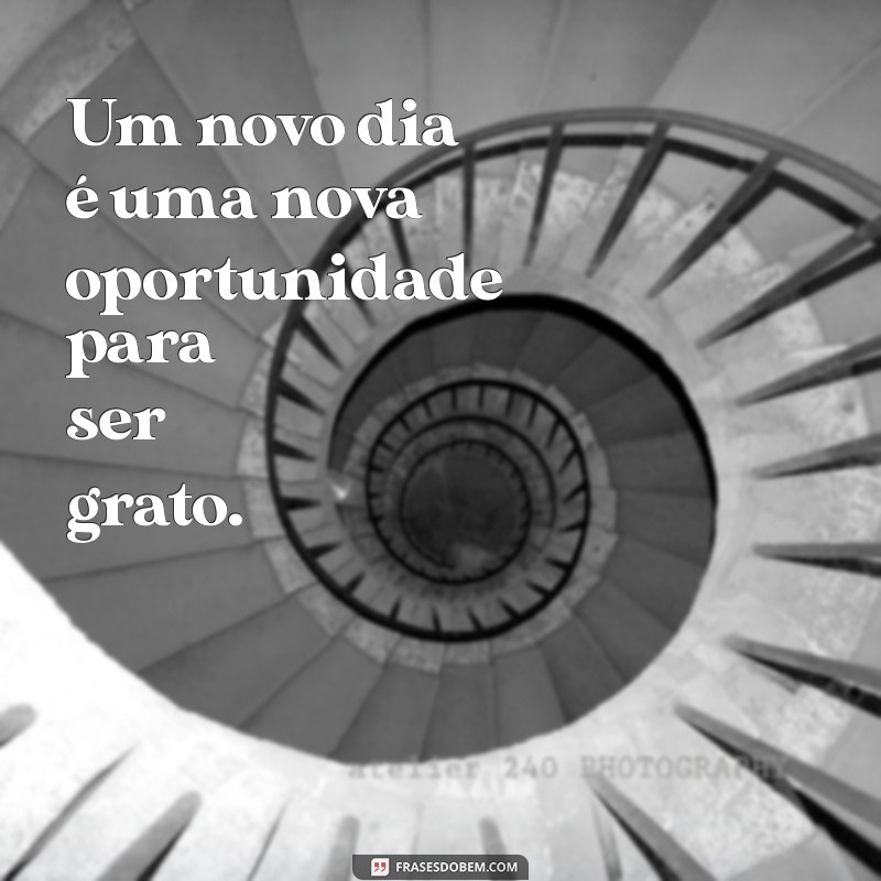 Frases Inspiradoras para Começar o Dia com Motivação 