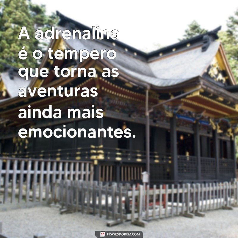 Explore a emoção com as melhores frases de aventura e adrenalina 