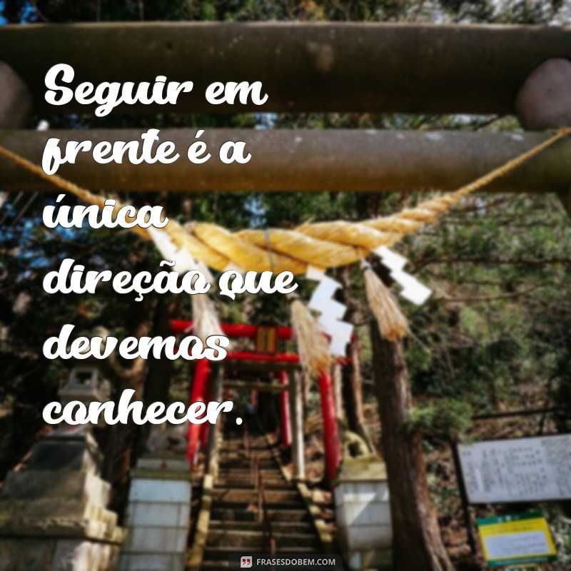 Frases Inspiradoras sobre Carros: Acelere sua Criatividade! 