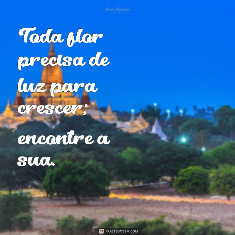 Frases Inspiradoras para Florescer: Cultive a Positividade e o Amor 