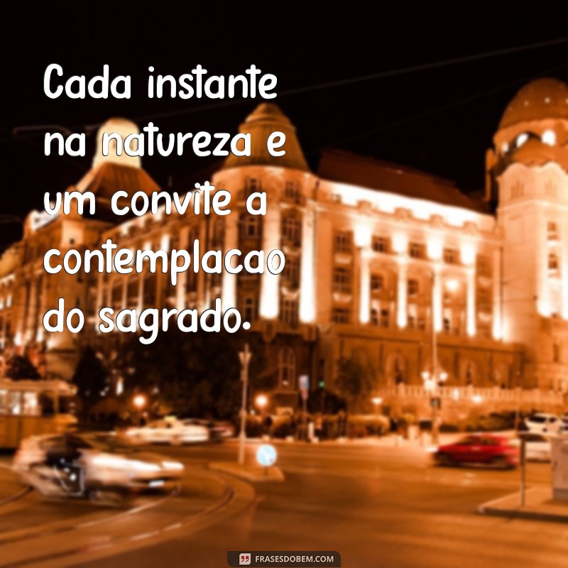 Frases Inspiradoras sobre a Natureza e a Divindade: Conexões Espirituais e Reflexões 