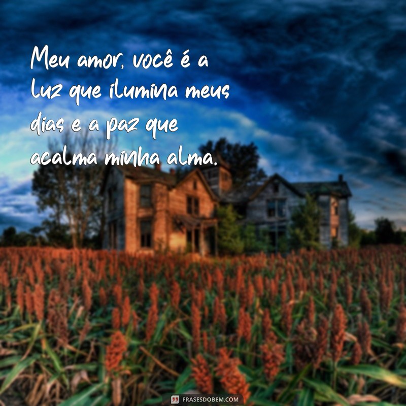 frases poemas de amor para namorada Meu amor, você é a luz que ilumina meus dias e a paz que acalma minha alma.
