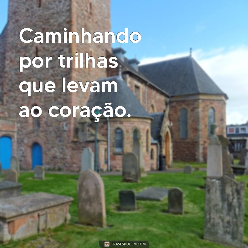 50 Frases Criativas para Legendar Suas Fotos na Fazenda 