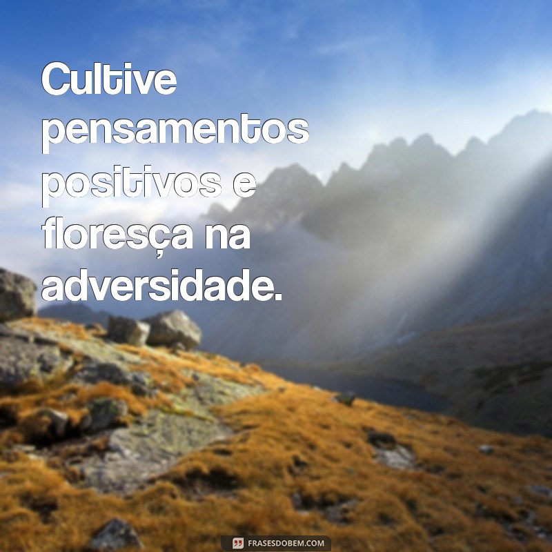 Frases Inspiradoras para Transformar seu Dia a Dia 